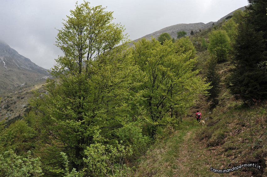 070 Periplo del Grem.JPG